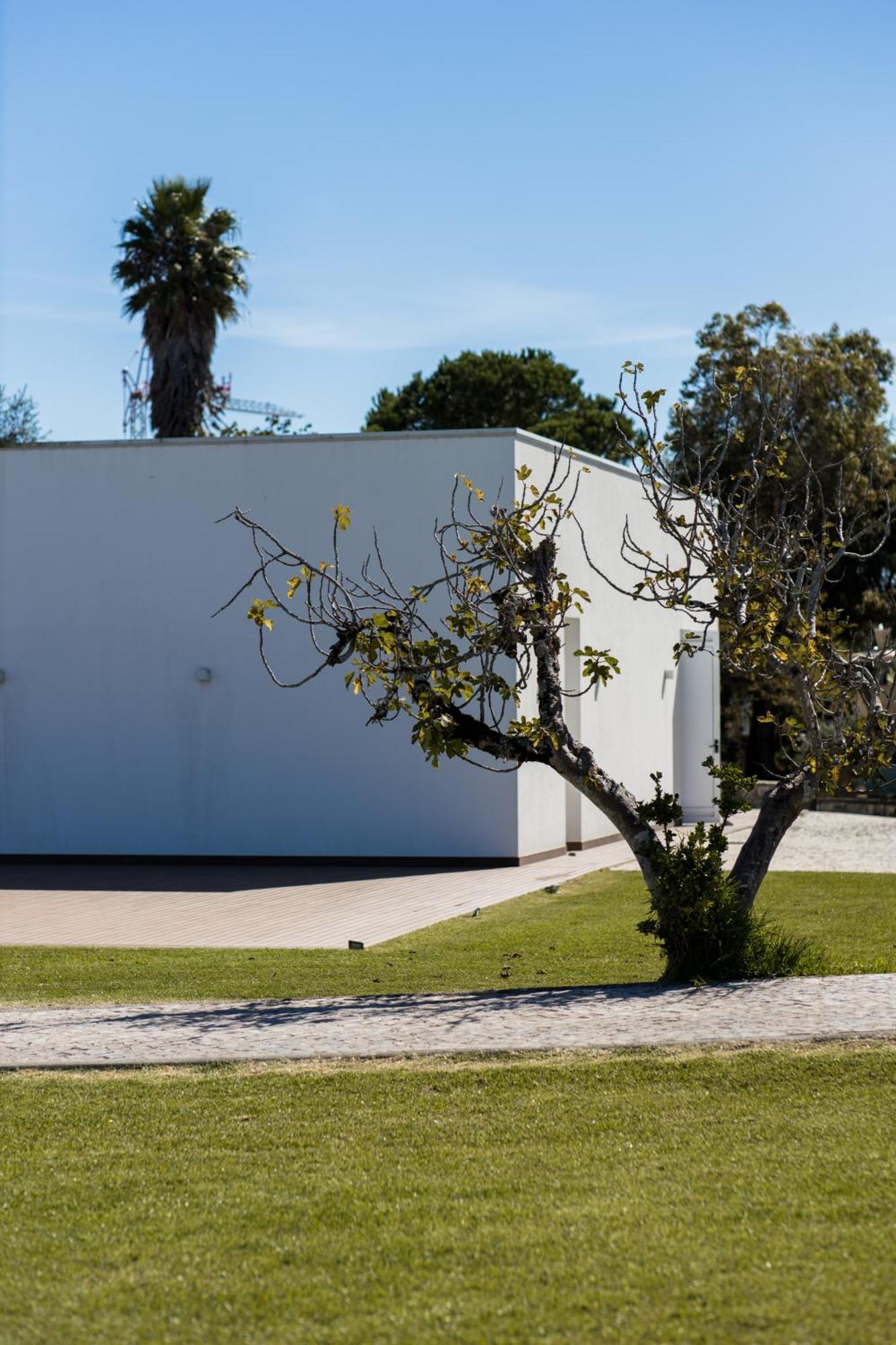 Quinta D'Anta- Hotel Rural Maiorca Exterior photo